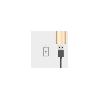 Logitech Spotlight Presentation Remote Gold 910-004862 - Image 24