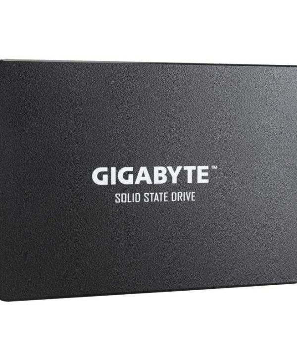 Gigabyte 256GB 2.5" Sata III GP-GSTFS31256GTND