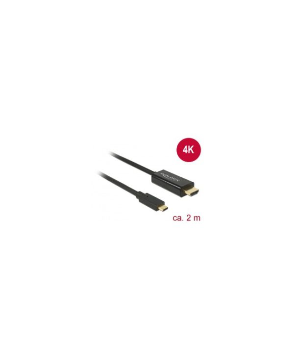 DeLock Cable USB Type-C Male - HDMI Male 4K 30Hz 2m Black 85259