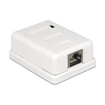 Delock Modular Wall Outlet Cat6 Port 86169