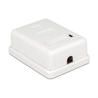 Delock Modular Wall Outlet Cat6 Port 86169 - Image 2