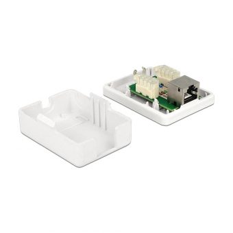 Delock Modular Wall Outlet Cat6 Port 86169 - Image 3