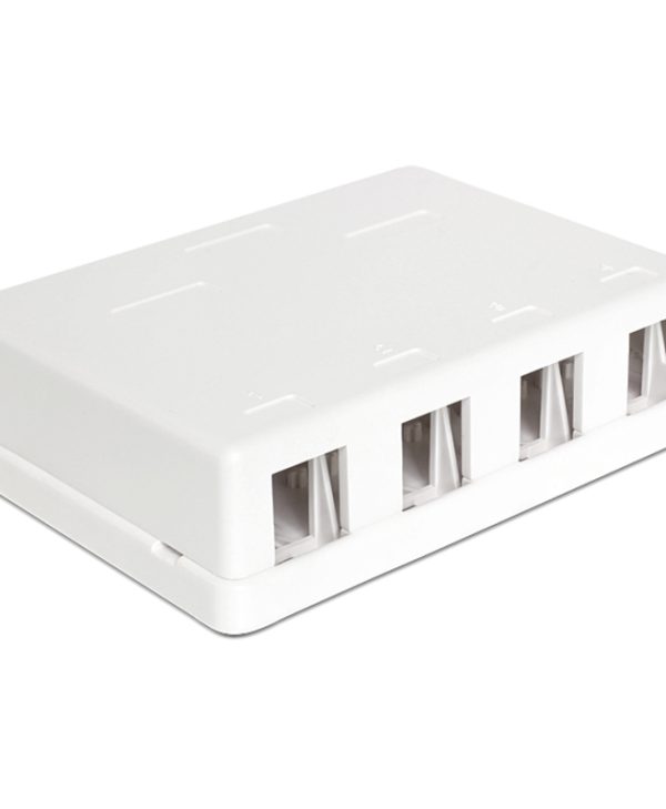 Delock Mount Box For Keystones 4-Port White 86208
