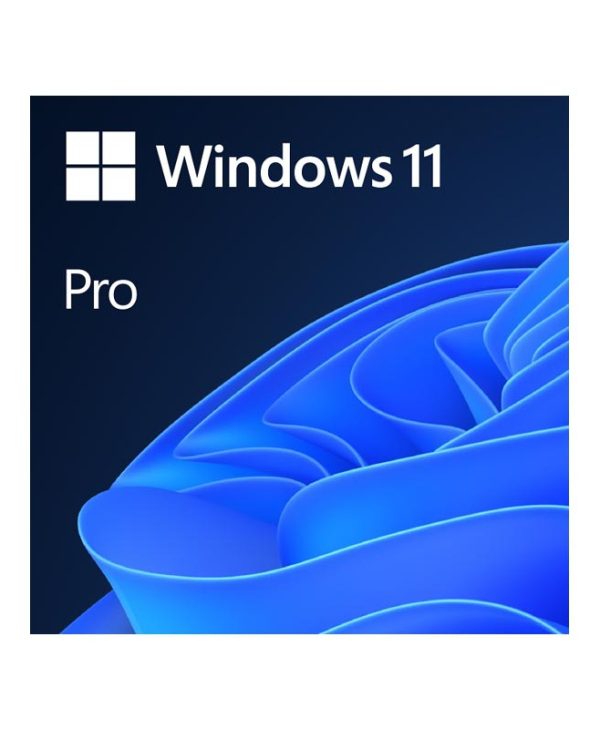 Microsoft Windows 11 Pro 64-bit English DSP FQC-10528