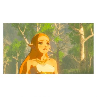 The Legend Of Zelda: Breth Of The Wild - Nintendo Switch - Image 3