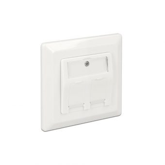 Delock Wall Outlet (60mm) 2-Port Keystone White 86202