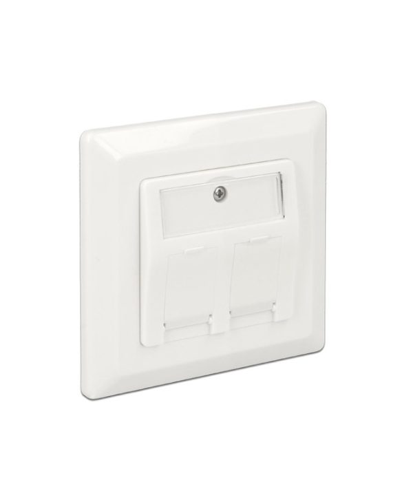Delock Wall Outlet (60mm) 2-Port Keystone White 86202