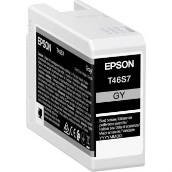 Epson T46S7 Ink Gray 25ml C13T46S700