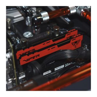 Patriot Viper Elite II 32GB (2 x 16GB) 3200MHz DDR4 Black/Red PVE2432G320C8K - Image 13