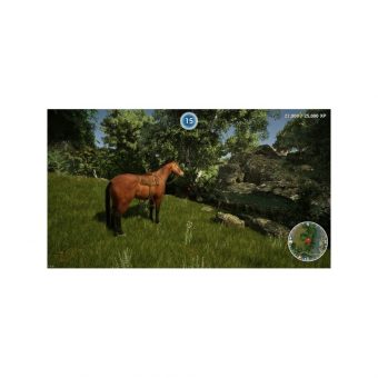 Animal Doctor - PS4 - Image 5