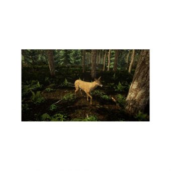 Animal Doctor - PS4 - Image 7
