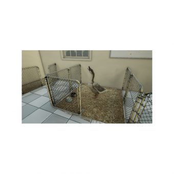 Animal Doctor - PS4 - Image 12