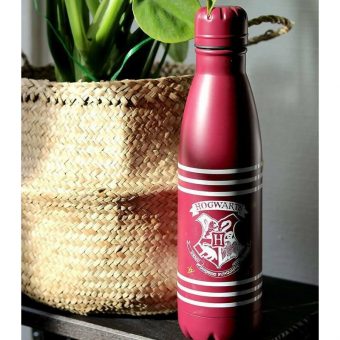 Pyramid Harry Potter "Hogwarts Crest & Stripes" 550ml Water Bottle MDB25453 - Image 2