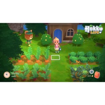 Hokko Life - PS4 - Image 5
