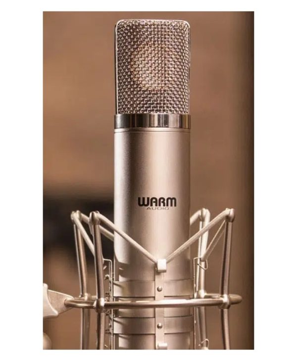 Warm Audio WA-CX12 Tube Condenser Microphone 850031640108