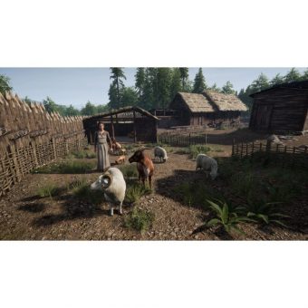 Medieval Dynasty – PS5 - Image 2