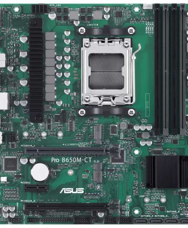 Asus Pro B650M-CT CSM 90MB1EC0-M0EAYC