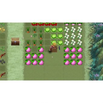 Rune Factory 3 Special - Nintendo Switch - Image 8