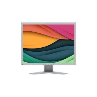 Eizo FlexScan S2134-GY 21.3" IPS Business Monitor Grey