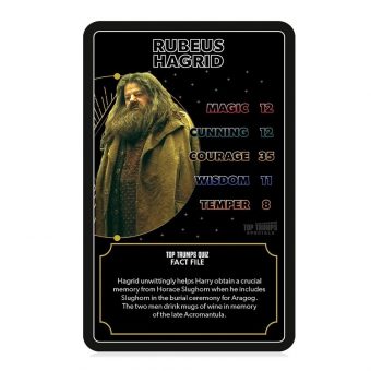 Winning Moves: Top Trumps Specials - Harry Potter Heroes of Hogwarts Playing Cards WM02879-EN1-6 - Image 2
