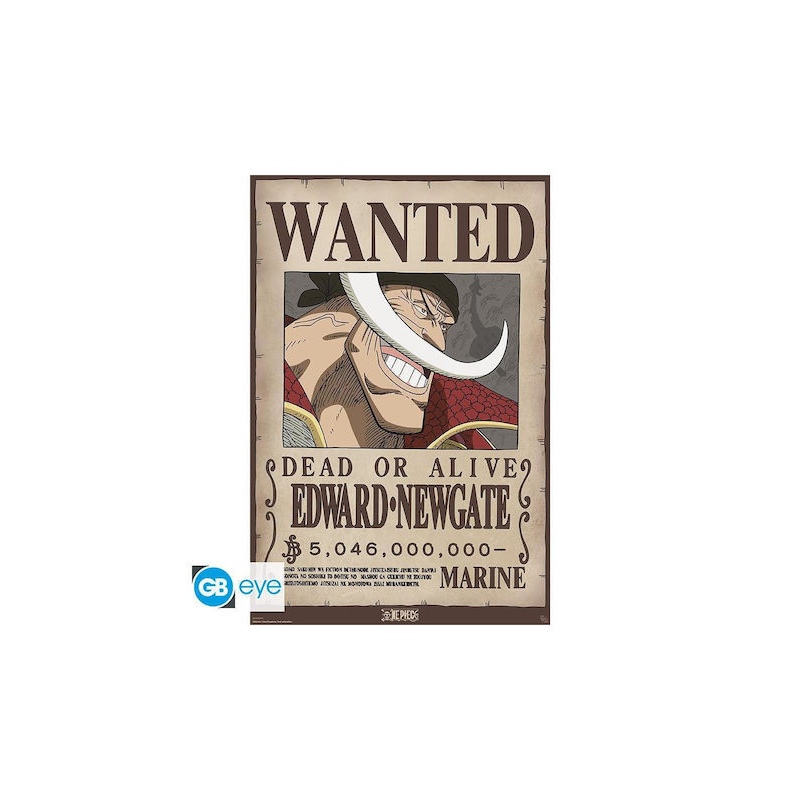 Abysse One Piece - Wanted Whitebeard Maxi Poster (91.5x61cm) (GBYDCO596)