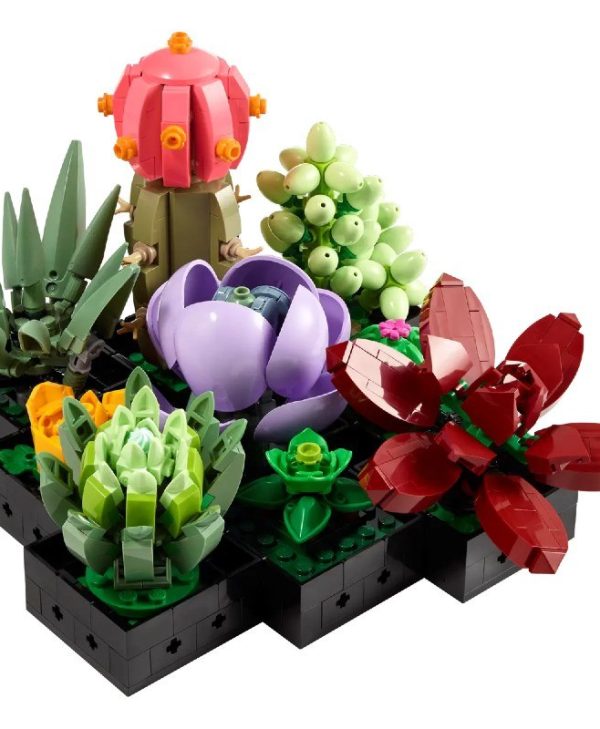 Lego The Botanical Collection: Succulents 10309