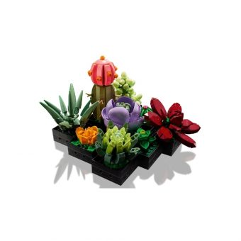 Lego The Botanical Collection: Succulents 10309 - Image 3