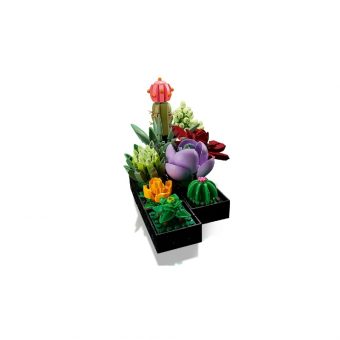Lego The Botanical Collection: Succulents 10309 - Image 4