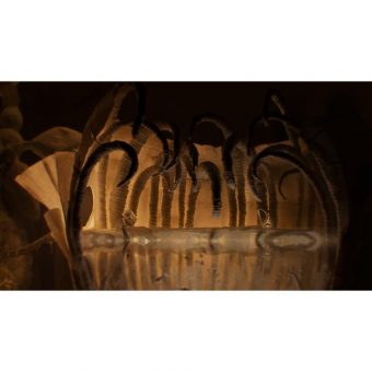 Papetura - Craft Edition – PS5 - Image 2