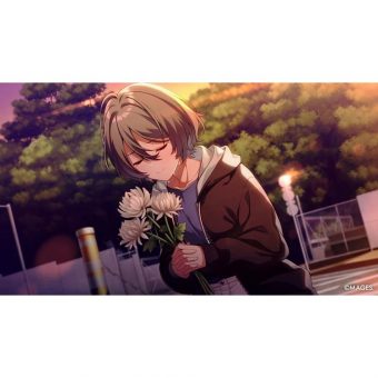 SINce Memories– Nintendo Switch - Image 3