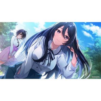 SINce Memories– Nintendo Switch - Image 5