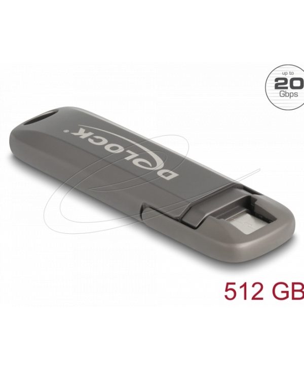 DELOCK USB 20 GBps Type-C Flash Drive 512 GB Gray 54013