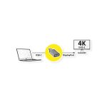 Roline USB-C Male to DisplayPort Female Black 12.03.3227-10 - Image 2