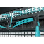 Digitus 19" Rackmount 1U Cable Management Panel with Brush Entries Black DN-97663 - Image 2
