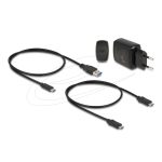 Delock M.2  M-Key USB-C 3.1 Docking Station Black 64178 - Image 2