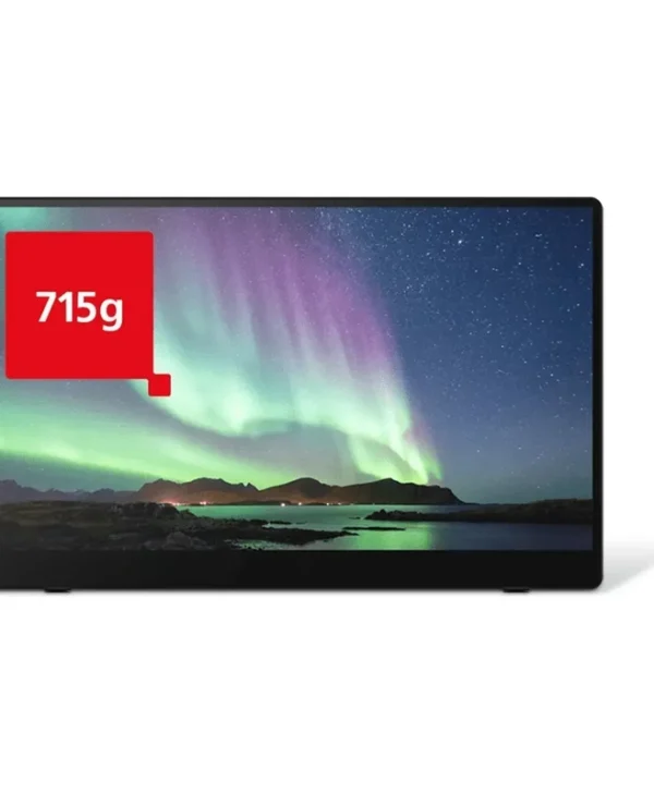 RICOH 150BW OLED Portable Monitor 15.6" Full HD Touch Black 514910