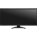 Eizo FlexScan EV3450XC 34.1" UWQHD IPS Curved Business Monitor Black EV3450XC-BK