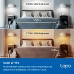 Tapo Smart WiFi Light Bulb Multicolor Tapo L535E - Image 9