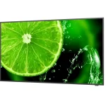 NEC MultiSync E328-2 32" FHD IPS 60Hz Business Monitor without stand 60006113 - Image 8