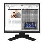 Eizo FlexScan 19" SXGA IPS Business Monitor Black S1934H-BK