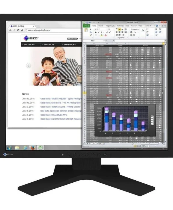 Eizo FlexScan 19" SXGA IPS Business Monitor Black S1934H-BK