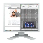 Eizo FlexScan 19" SXGA IPS Business Monitor Black S1934H-GY
