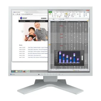 Eizo FlexScan 19" SXGA IPS Business Monitor Black S1934H-GY
