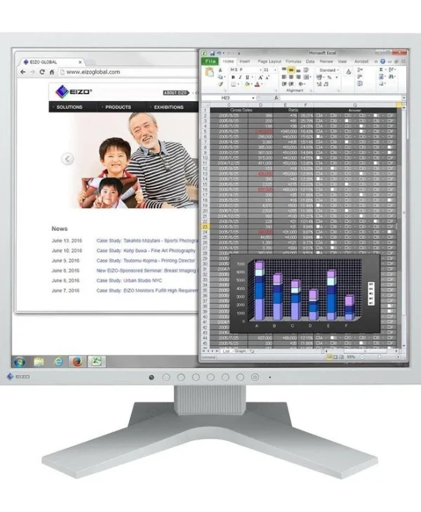 Eizo FlexScan 19" SXGA IPS Business Monitor Black S1934H-GY