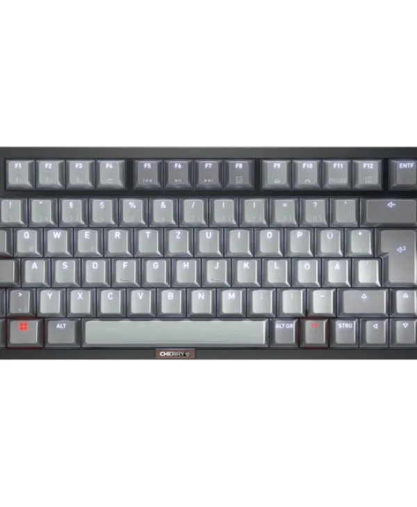 Cherry KW 300 MX Mechanical Keyboard MX2A Brown Switch (DE Layout Only) Grey Black G80-3960HIADE-2