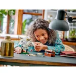 LEGO Harry Potter: Hedwig at 4 Privet Drive 76425 - Image 8