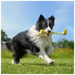 Insta360 CINSBBKP Fetch Stick for GO 3 6970357855315 - Image 2