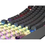 Genesis Thor 230 TKL RGB Wired and Wireless Mechanical Gaming Keyboard Silent Lemon Switches US Layout Black NKG-2108 - Image 6