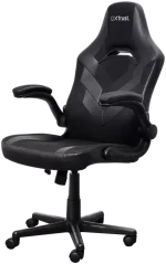 Trust GXT 703 Riye Gaming Chair Black 25128 - Image 3