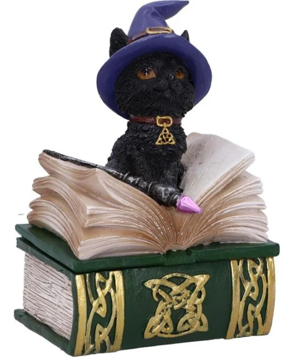 Nemesis Now - Coven Keepers: Binx - 11cm Figurine Box 801269140014